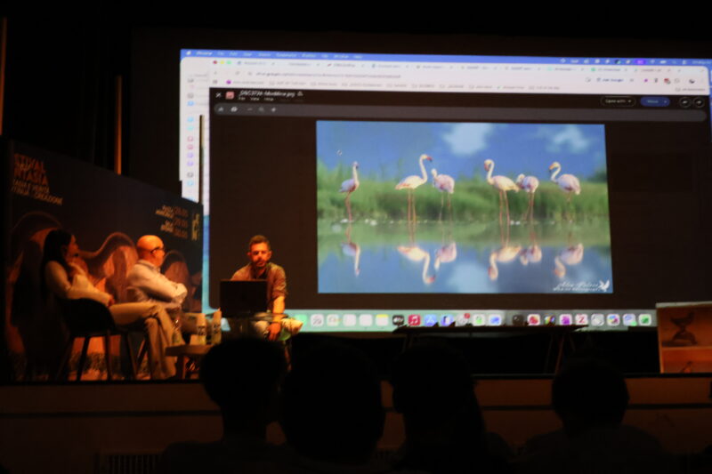 Fefant 2026 29.05.2026 Io nello sguardo con Alice Federico, Massimo Robberto, Alex Palara con seconda foto birdwathcing di Alex Palara